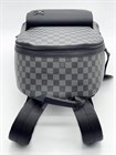 Рюкзак Louis Vuitton 2794